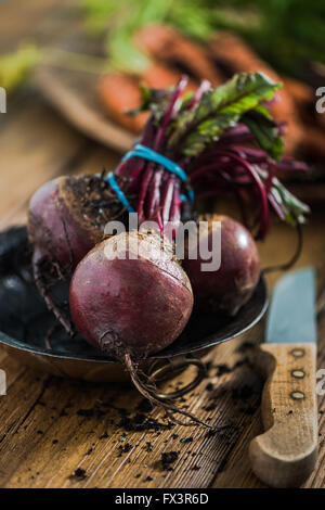 Frische rote Beete aus Gartenerde auf Bauernhof-Holztisch Stockfoto