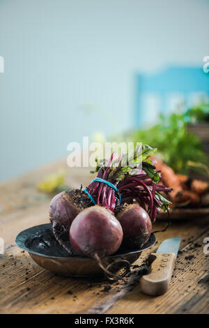 Frische ganze rote Beete aus Gartenerde, auf Holz Bauernhof-Tisch in der Küche. Platz für Text zu kopieren. Stockfoto