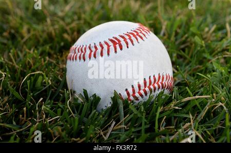 Ein Baseball Verlegung auf dem Rasen in einem Feld. Stockfoto