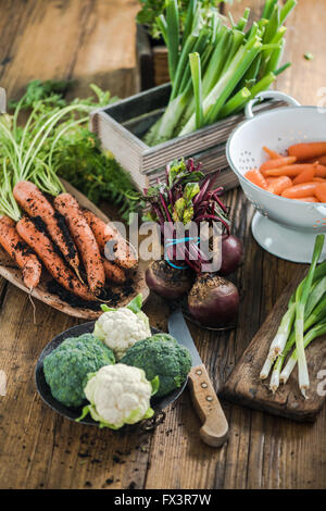 Bauernhof frisches Gemüse vom lokalen Markt am Küchentisch in sonnige Küche. Hause Garten- und sauber Essen Konzept. Stockfoto