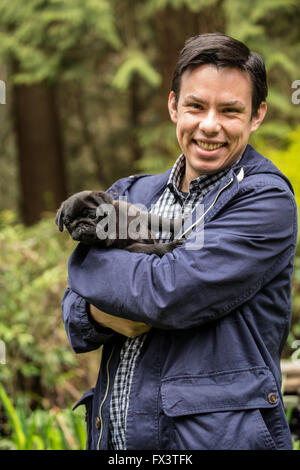 Mann hält Fitzgerald, einen 10 Wochen alten schwarzen Mops Welpen in Issaquah, Washington, USA Stockfoto