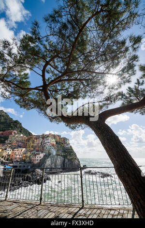 Manarola, Provinz La Spezia, Ligurien, Nordwest-Italien Stockfoto