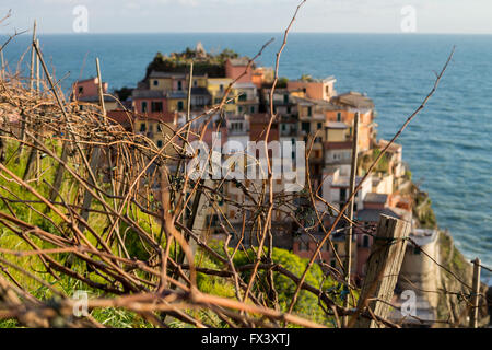 Manarola, Provinz La Spezia, Ligurien, Nordwest-Italien Stockfoto