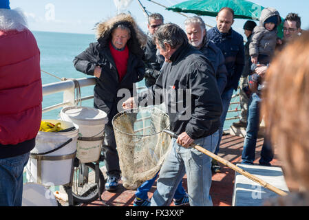 Fischer an der Pier in Marina di Massa, Toskana, Italien, EU, Europa Stockfoto