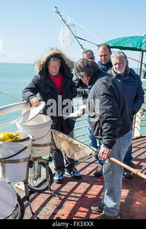 Fischer an der Pier in Marina di Massa, Toskana, Italien, EU, Europa Stockfoto