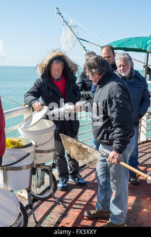 Fischer an der Pier in Marina di Massa, Toskana, Italien, EU, Europa Stockfoto