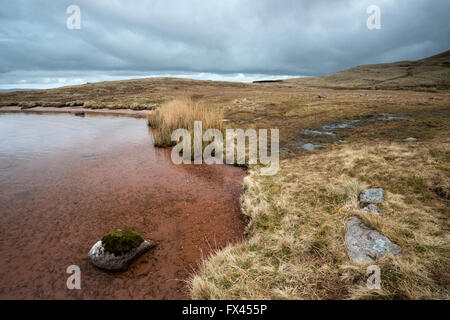 Blick von der Küste von Llyn Y Fan Fawr, Brecon-Beacons-Nationalpark, Wales, UK Stockfoto