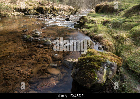 Blean Llia, Detail des Stream, Breacon-Beacons-Nationalpark, Wales, UK Stockfoto