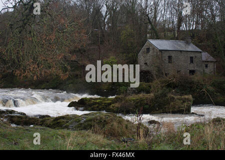 Die alte Wassermühle am Fluss Teifi in Cenarth, Ceredigion. Stockfoto