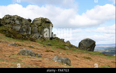 Kuh und Kalb Rock-Feature in Ilkley Moor, West Yorkshire, Großbritannien. Stockfoto