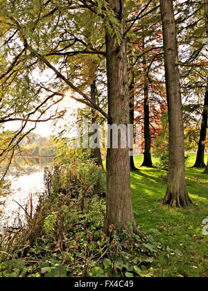 Vondelpark in Amsterdam Stockfoto