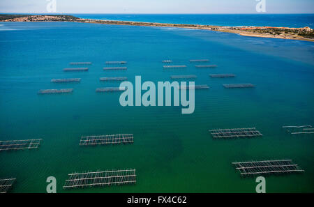 Luftbild, Austern- und Muschelzucht im Etang de Leucate, Lagune, Lagune Leucate, blaues Wasser, Zentrum Ostréicole, Leucat Stockfoto