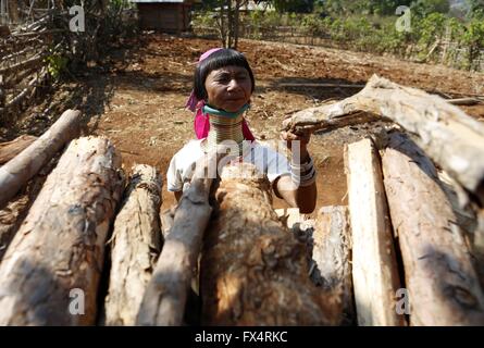 Demoso, Myanmar. 11. April 2016. Eine Padaung-Frau mit Messingringe um den Hals ordnet getrocknete Hölzer in ihrem Haus in Panpet Dorf, Demoso Township, Kayah-Staat, Myanmar, 11. April 2016. Die Messingringe werden zuerst angewendet, wenn die Padaung-Mädchen ungefähr acht Jahre alt sind und als das Mädchen älter, längere Spulen, um 24 oder 25 Ringe addiert werden. Bildnachweis: U Aung/Xinhua/Alamy Live-Nachrichten Stockfoto