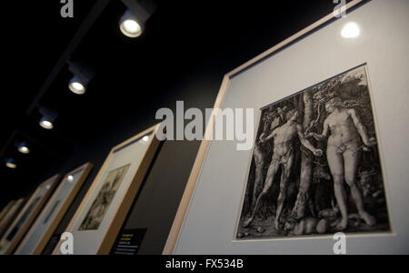 Nürnberg, Deutschland. 12. April 2016. Die Radierung "Adam und Eva" (1504) von Albrecht Duerer kann man bei der Ausstellung "Schats aus Papier. Dürer-Sammlung Diehl - Ein meistverkauftes Die Stadt Nuernberg sterben "an der Albrecht-Dürer-Haus in Nürnberg, 12. April 2016. Mit der Sonderausstellung präsentiert das Albrecht-Dürer-Haus bedeutende Werke von Dürer erstmals, die zuvor Teil einer privaten Sammlung. Die Kunst-Spende vom Unternehmer Karl Diehl, der 2008 starb, bestehend aus 140 Werke. Foto: DANIEL KARMANN/Dpa/Alamy Live News Stockfoto