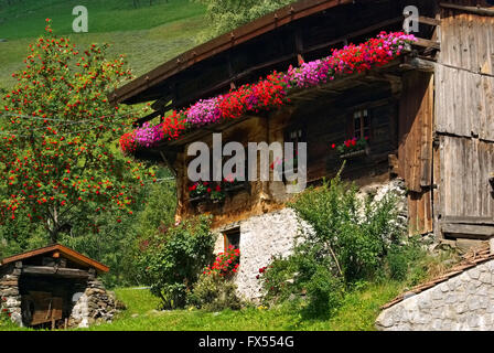 Almhütte Mit Blumen in Den Alpen - altes Chalet mit Blumen in den Alpen Stockfoto