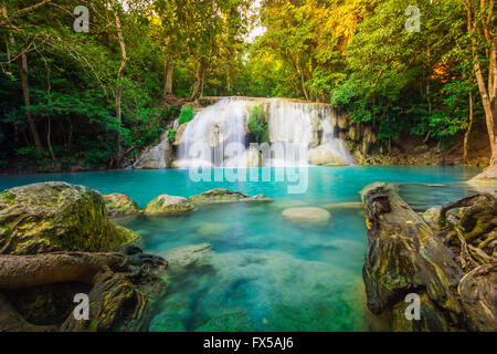 Erawan Wasserfall Umgebung mit großer Baum und smaragdgrünen Wasser in Kanchanaburi, Thailand Stockfoto