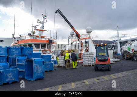 Hafenarbeiter entladen Fisch Weg von einem Trawler im Hafen von Ullapool, Schottisches Hochland, UK Stockfoto