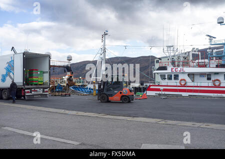 Entladung Fisch schleppen von Trawler im Hafen von Ullapool, Schottisches Hochland, UK Stockfoto