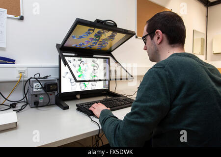 Wissenschaftler auf einem 3D Monitor an der Heinrich-Heine Universität in Düsseldorf Stockfoto