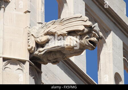 Wasserspeier am La Lonja-Denkmal in Palma De Mallorca, Spanien Stockfoto