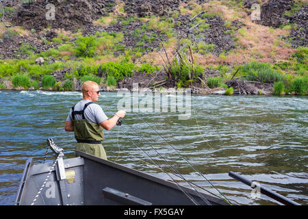 Erfahrene Fliegenfischer Angeln Deschutes River in Oregon, casting für Fische im Wasser stehend. Stockfoto