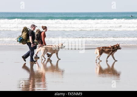 Wanderer mit Hund, Hunde an, lange führen, führt, ruhig in der Nebensaison Newgale Strand entlang Pembrokeshire Coast Path in der Nähe von St David's. Wales hat jetzt eine Küstenstadt pa Stockfoto