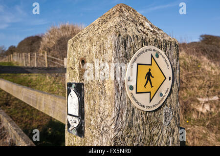 Wegweiser, Finger Post entlang Pembrokeshire Coast Path in der Nähe von St Davids. Wales hat jetzt einen Küstenweg die gesamte Länge der coa Stockfoto
