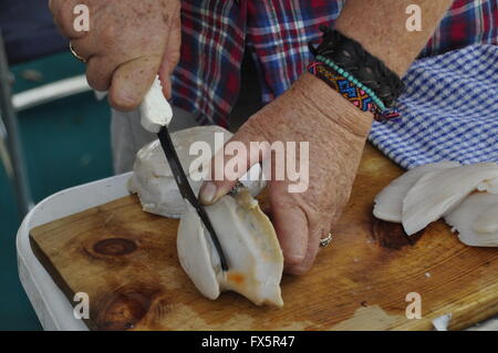 Vorbereitung der australischen Green Lip Abalone Stockfoto