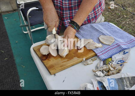 Vorbereitung der australischen Green Lip Abalone Stockfoto