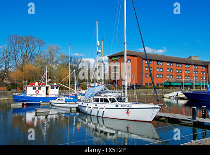 Die Marina, Kingston upon Hull, Humberside, East Yorkshire, England UK Stockfoto