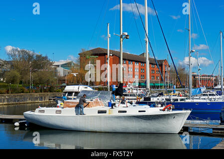 Die Marina, Kingston upon Hull, Humberside, East Yorkshire, England UK Stockfoto