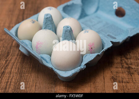 Halbes Dutzend Araucana Hühnereier in einer box Stockfoto