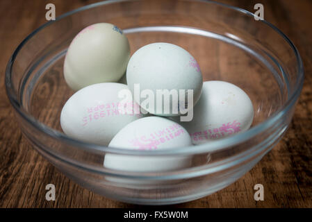 Halbes Dutzend Araucana Hühnereier in eine Glasschüssel Stockfoto