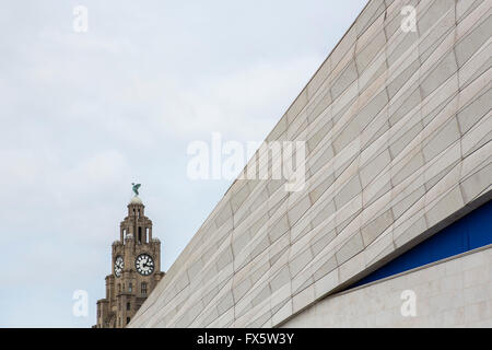 Blick auf die Leber, die aufbauend auf den Docks, Liverpool, UK. Stockfoto