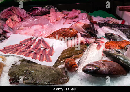 frisch gefangenen Fisch auf dem display Stockfoto