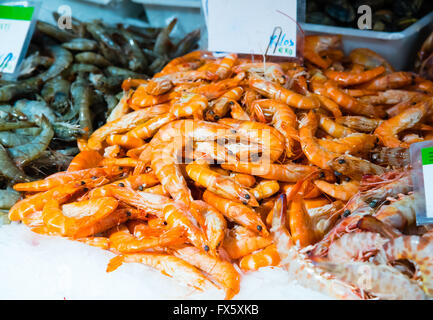 frisch gefangenen Garnelen auf dem display Stockfoto