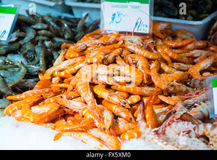 frisch gefangenen Garnelen auf dem display Stockfoto