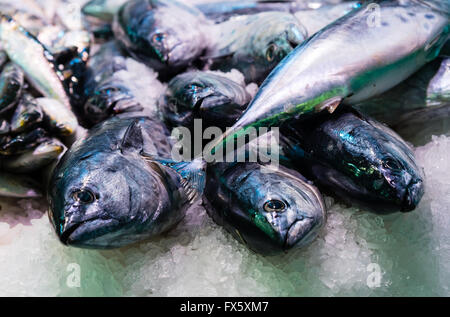 frisch gefangenen Fisch auf dem display Stockfoto