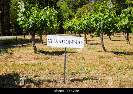 Chardonnay-Trauben werden in diesem Weingut und Weinberg im südlichen Oregon angebaut. Stockfoto