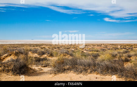 Lake Eyre South gesehen als eine silberne Linie am Horizont von den Oodnadatta Track, South Australia Stockfoto