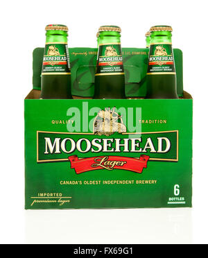 Winneconne, Wisconsin - 15. März 2016: ein six-Pack Moosehead Bier Stockfoto