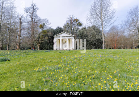 Die dorischen Tempel, eine Torheit in Petworth House und Park, Petworth, West Sussex, UK mit Narzissen im Frühjahr Stockfoto