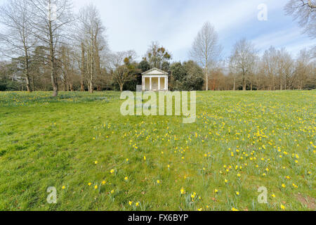 Die dorischen Tempel, eine Torheit in Petworth House und Park, Petworth, West Sussex, UK mit Narzissen im Frühjahr Stockfoto