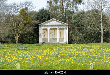 Die dorischen Tempel, eine Torheit in Petworth House und Park, Petworth, West Sussex, UK mit Narzissen im Frühjahr Stockfoto