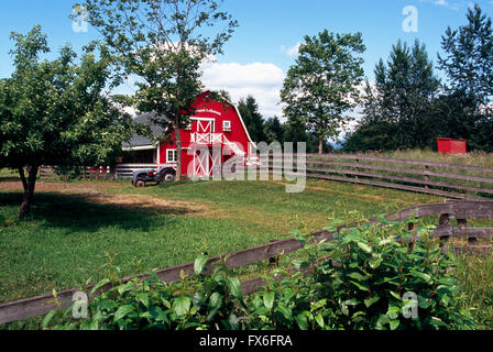 Rote Scheune auf Fraser Valley Farm, Mount Lehman, Abbotsford, BC, Britisch-Kolumbien, Kanada - bäuerliche Landwirtschaft Landschaft Stockfoto