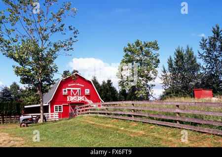 Rote Scheune auf Fraser Valley Farm, Mount Lehman, Abbotsford, BC, Britisch-Kolumbien, Kanada - bäuerliche Landwirtschaft Landschaft Stockfoto