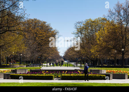 Blick auf den Main Mall auf dem Campus der UBC in Vancouver, Britisch-Kolumbien Stockfoto