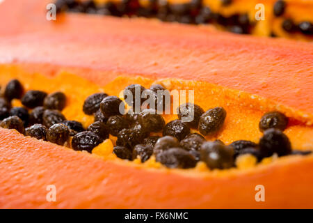 frisch geschnittene Papaya Samen in der Frucht hautnah Stockfoto