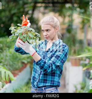 junge schöne weibliche Gärtner mit Blumentopf im Gewächshaus Stockfoto