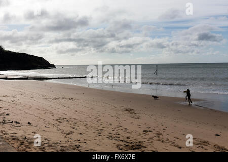 Leiste auf Exmouth Strand, Hintergrund, Strand, Pause, Schutzschalter, Wellenbrecher, Großbritannien, British, braun, Küste, Küste, Verteidigung, elemen Stockfoto